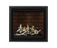 Napoleon Altitude X 36-inch Direct Vent Gas Fireplace