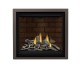 Napoleon Altitude X 36-inch Direct Vent Gas Fireplace