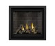 Napoleon Altitude X 36-inch Direct Vent Gas Fireplace