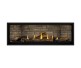 Napoleon Ascent Linear Premium 56-inch Direct Vent Natural Gas Fireplace
