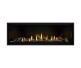 Napoleon Ascent Linear Premium 56-inch Direct Vent Natural Gas Fireplace