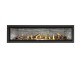 Napoleon Ascent Linear Premium 76-inch Direct Vent Natural Gas Fireplace