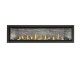 Napoleon Ascent Linear Premium 76-inch Direct Vent Natural Gas Fireplace