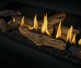 Napoleon Ascent Linear Premium 46-inch Direct Vent Natural Gas Fireplace