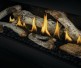 Napoleon Ascent Linear Premium 46-inch Direct Vent Natural Gas Fireplace