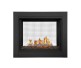 Napoleon Ascent Multi-View See-Thru Direct Vent Natural Gas Fireplace with Glass Burner