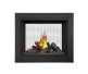 Napoleon Ascent Multi-View See-Thru Direct Vent Natural Gas Fireplace with Logs