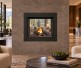 Napoleon Ascent Multi-View See-Thru Direct Vent Natural Gas Fireplace with Logs