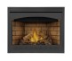 Napoleon Ascent 42-inch Electronic Ignition Direct Vent Fireplace
