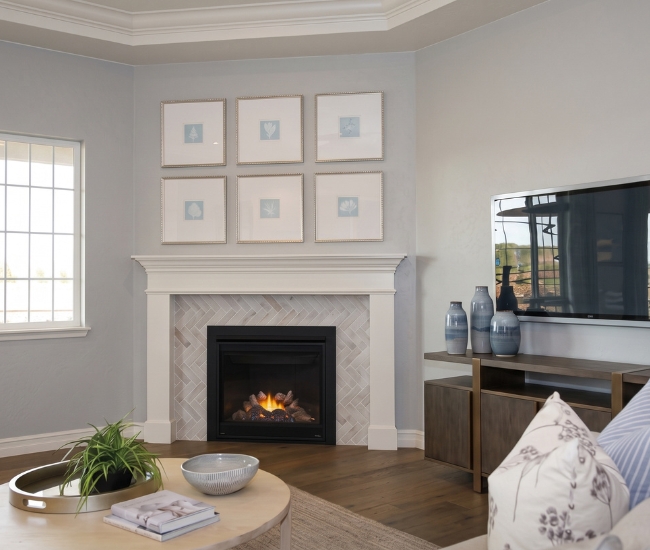 Napoleon Ascent X 36-inch Electronic Ignition Direct Vent Fireplace