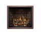 Napoleon Elevation X 36-inch Direct Vent Gas Fireplace
