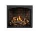 Napoleon Elevation X 36-inch Direct Vent Gas Fireplace