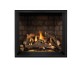 Napoleon Elevation X 36-inch Direct Vent Gas Fireplace