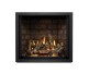 Napoleon Elevation X 36-inch Direct Vent Gas Fireplace