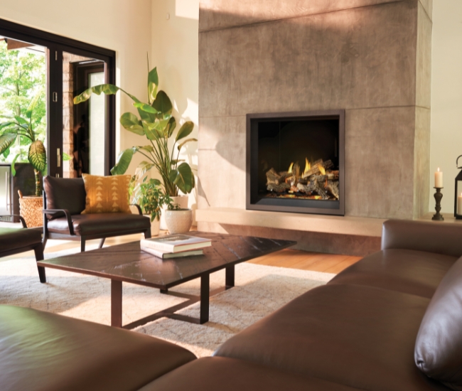 Napoleon Elevation X 42-inch Direct Vent Gas Fireplace