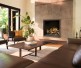 Napoleon Elevation X 42-inch Direct Vent Gas Fireplace