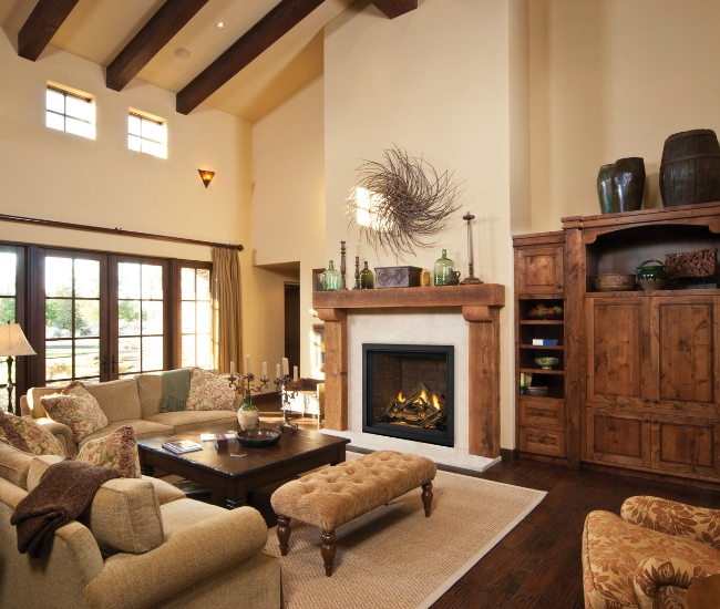 Napoleon Elevation X 42-inch Direct Vent Gas Fireplace
