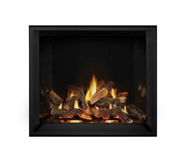 Napoleon Elevation X 42-inch Direct Vent Gas Fireplace