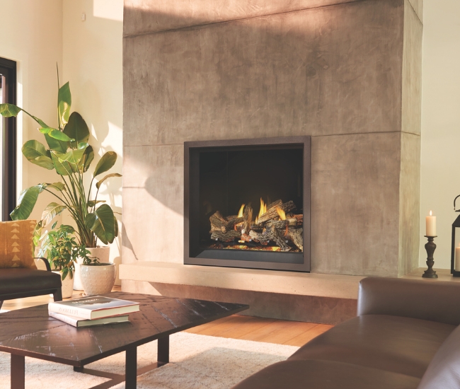 Napoleon Elevation X 42-inch Direct Vent Gas Fireplace