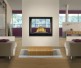 Napoleon High Definition See-Thru Direct Vent Natural Gas Fireplace
