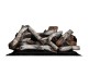 Napoleon High Definition Birch Logs for Elevation X 42-inch Gas Fireplace