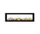 Napoleon Luxuria See-Thru 62-inch Direct Vent Natural Gas Fireplace