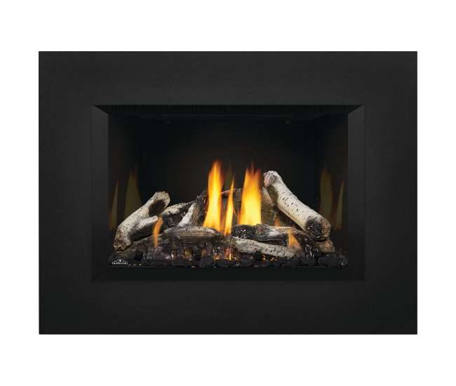 Napoleon Oakville GDIX3N Direct Vent Natural Gas Insert
