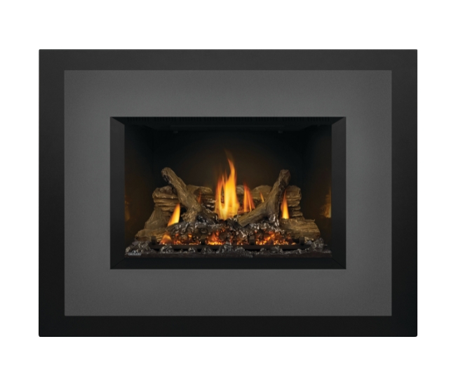 Napoleon Oakville GDIX3N Direct Vent Natural Gas Insert
