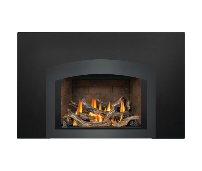 Napoleon Oakville GDIX3N Direct Vent Natural Gas Insert