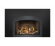 Napoleon Oakville GDIX3N Direct Vent Natural Gas Insert