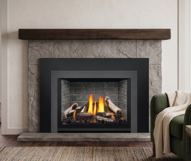 Napoleon Oakville GDIX3N Direct Vent Natural Gas Insert