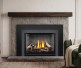 Napoleon Oakville GDIX3N Direct Vent Natural Gas Insert