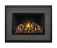 Napoleon Oakville GDIX4N-1 Direct Vent Natural Gas Insert