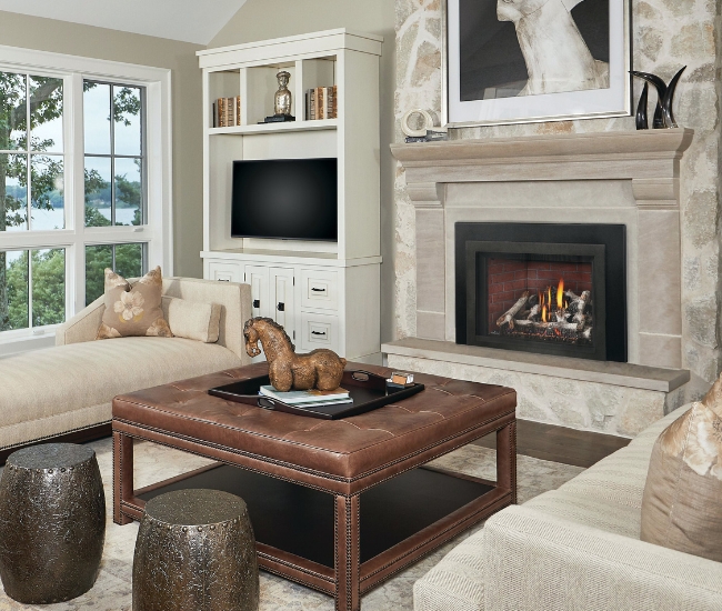 Napoleon Oakville GDIX4N-1 Direct Vent Natural Gas Insert