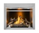 Napoleon Riverside 42-inch Electronic Ignition Natural Gas Outdoor Fireplace