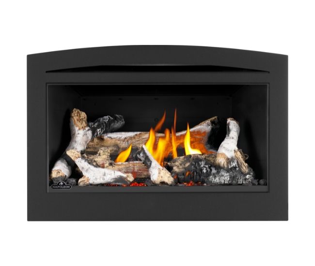 Napoleon Rosedale RD2 Direct Vent Natural Gas Insert