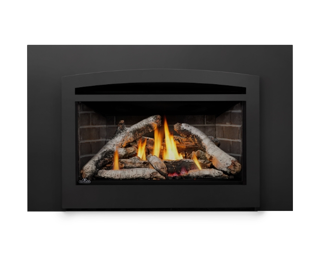 Napoleon Rosedale RD3 Direct Vent Natural Gas Insert