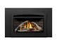 Napoleon Rosedale RD3 Direct Vent Natural Gas Insert