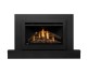 Napoleon Rosedale RD3 Direct Vent Natural Gas Insert
