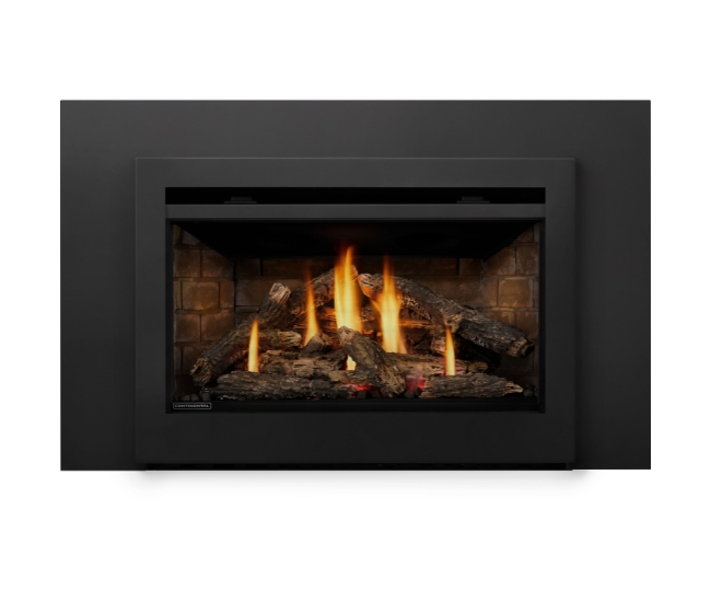 Napoleon Rosedale RD3 Direct Vent Natural Gas Insert