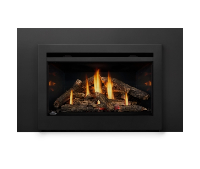 Napoleon Rosedale RD3 Direct Vent Natural Gas Insert