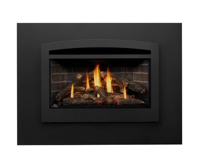 Napoleon Rosedale RD3 Direct Vent Natural Gas Insert