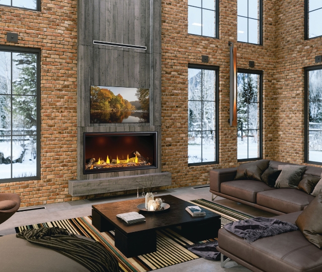 Napoleon Tall Linear Vector 50-inch Direct Vent Natural Gas Fireplace
