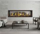 Napoleon Tall Linear Vector See-Thru 74-inch Direct Vent Natural Gas Fireplace