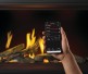Napoleon Tall Linear Vector with Luminous Logs 62-inch Direct Vent Natural Gas Fireplace
