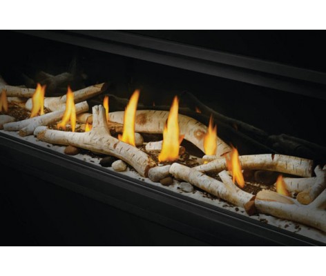 Napoleon Vector 50-inch Direct Vent Natural Gas Fireplace