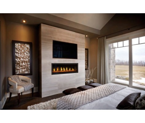 Napoleon Vector 50-inch Direct Vent Natural Gas Fireplace