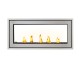 Napoleon Vector 38-inch See-Thru Direct Vent Natural Gas Fireplace