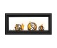 Napoleon Vector 38-inch See-Thru Direct Vent Natural Gas Fireplace