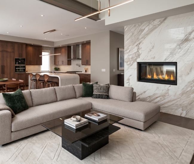 Napoleon Vector 38-inch See-Thru Direct Vent Natural Gas Fireplace